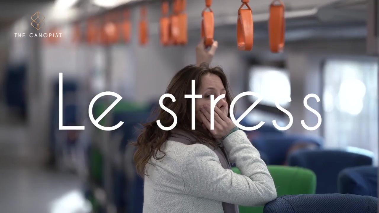 Le stress au quotidien — The Canopist